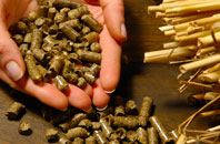 free Botolphs biomass boiler quotes